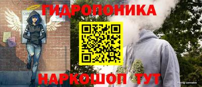 ешки Ярославль