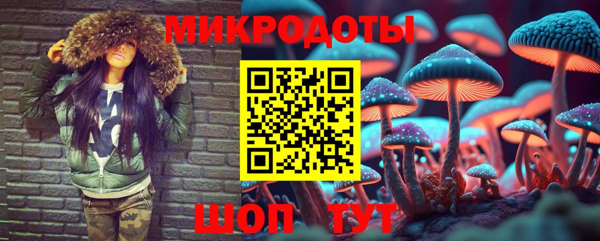 Псилоцибиновые грибы Psilocybine cubensis  Вход с VPN  Гусиноозёрск 