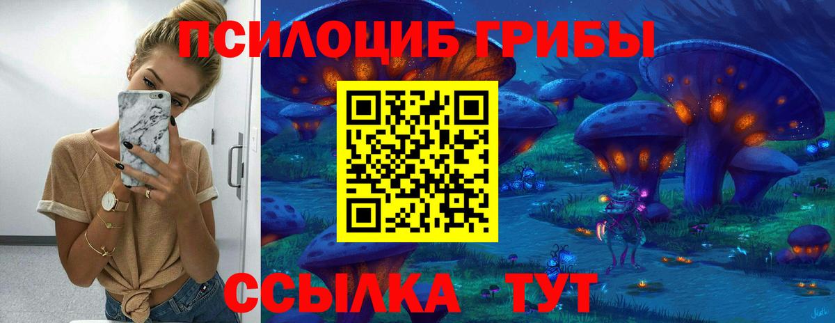 Галлюциногенные грибы Psilocybe Гусиноозёрск